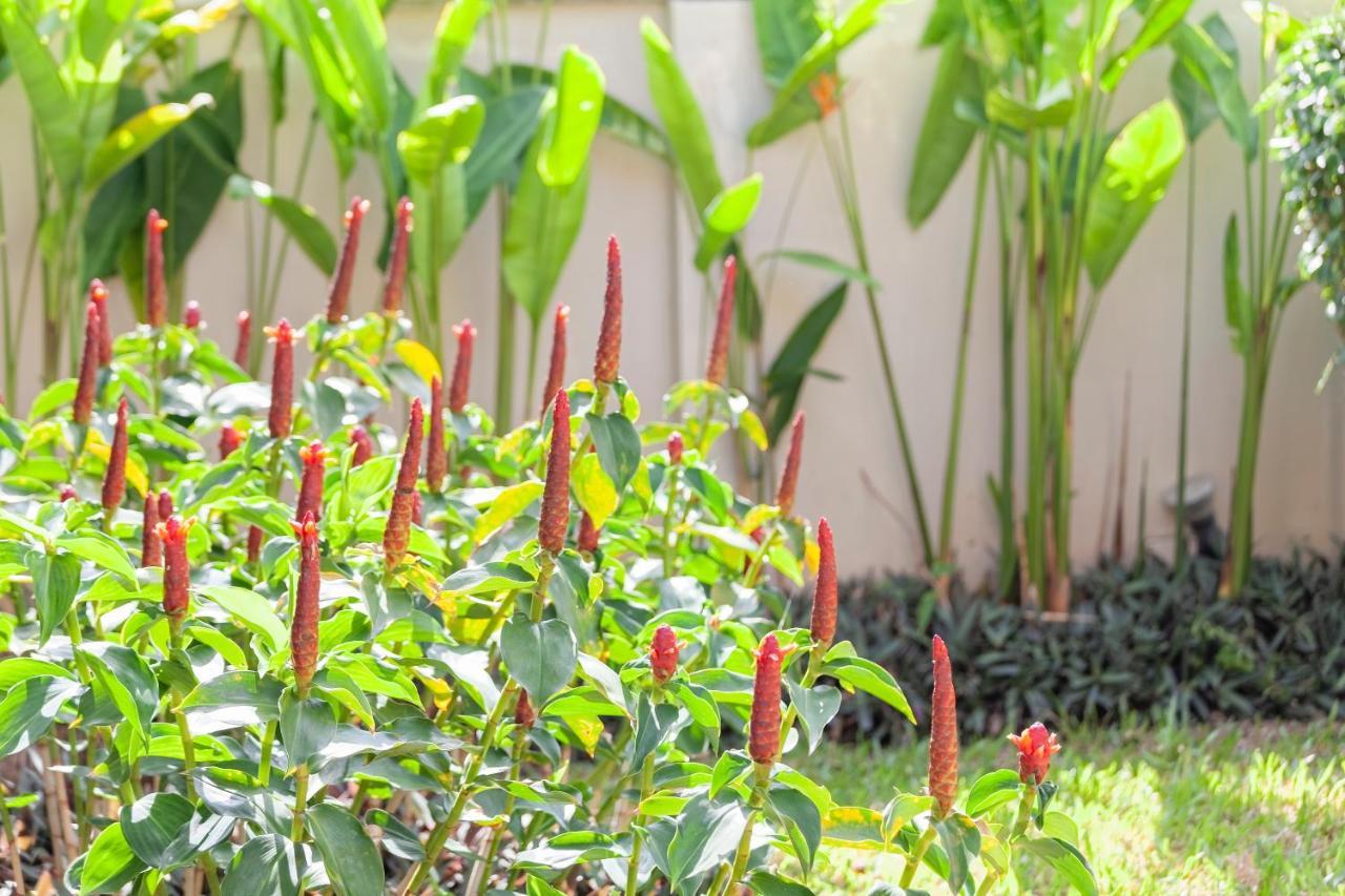 Foxtail Palm Villa Rawai Dış mekan fotoğraf